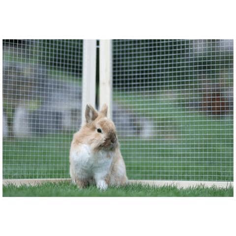 Recinto Esterno Per Animali Domestici Vario Legno Marrone 84399 - Foto 2