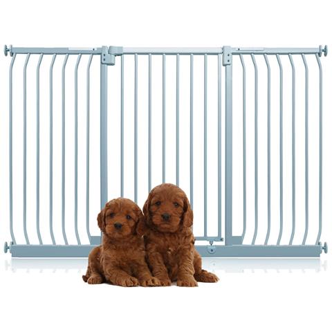 Bettacare Cancelletto Per Cani Elite Extra Alto, 161cm - 170cm, Grigio Opaco, Extra Alto Con 100cm Di Altezza - Foto 1