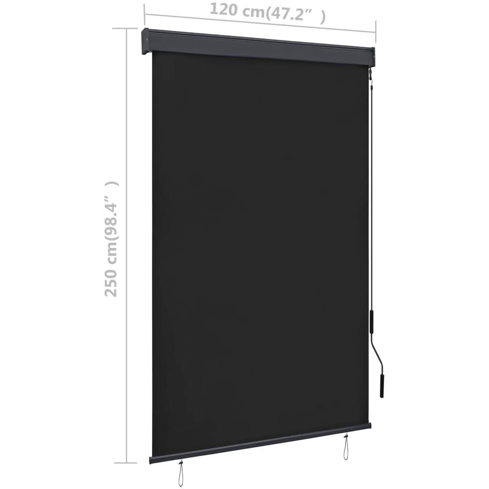 Tenda A Rullo Per Esterni 120x250 Cm Antracite - Foto 14