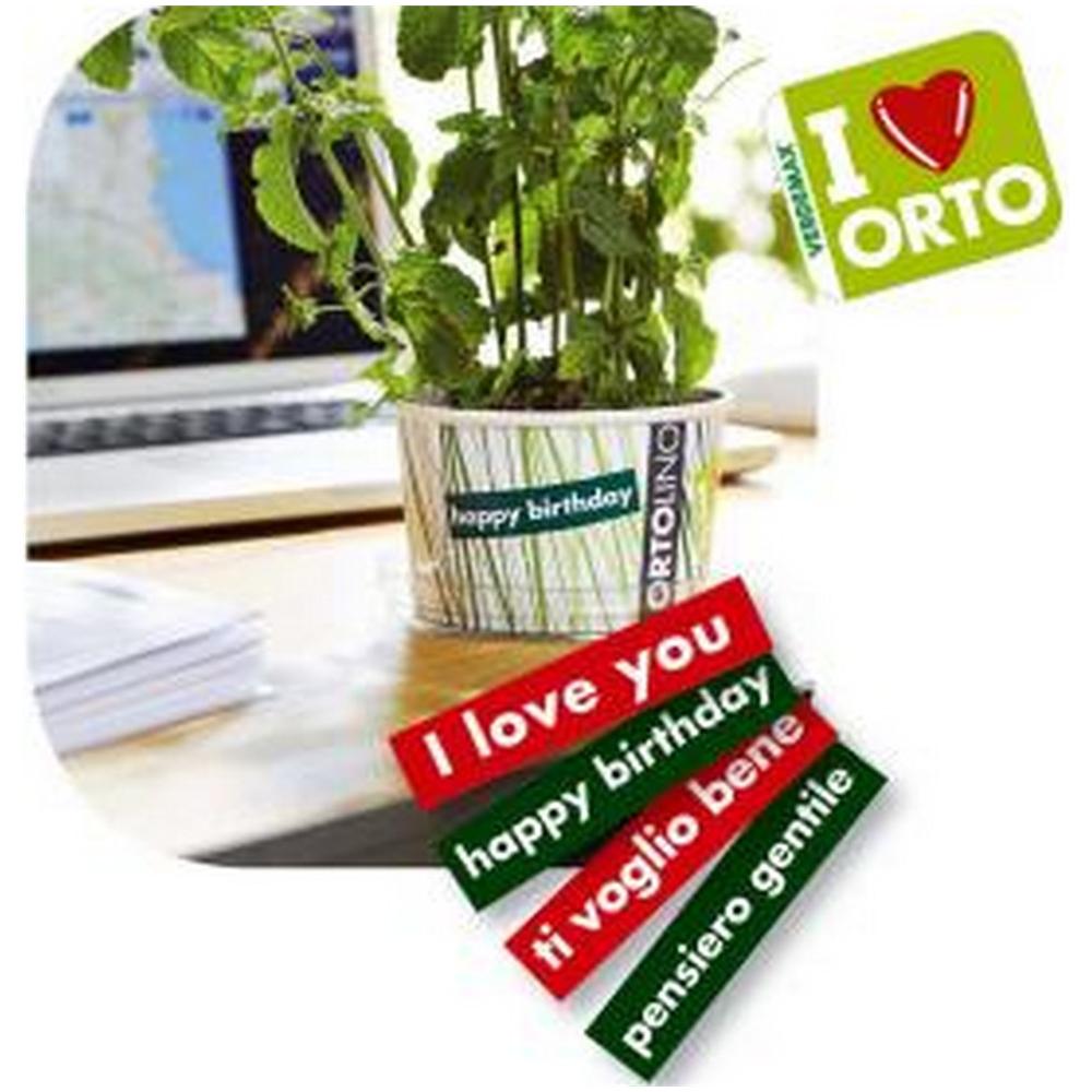 Kit Ortolino, Vaso Pp, Terriccio, Semi Coriandolo - Foto 2