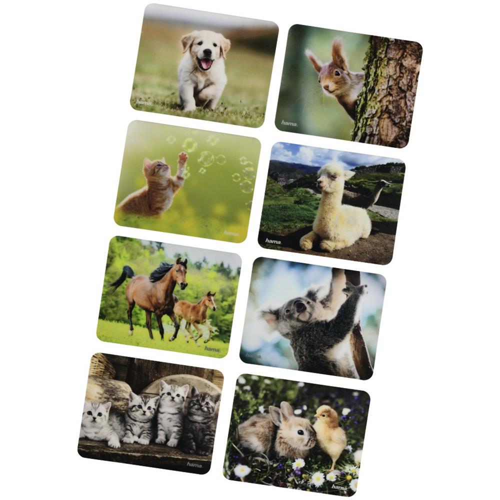 Animal Multicolore - Foto 1