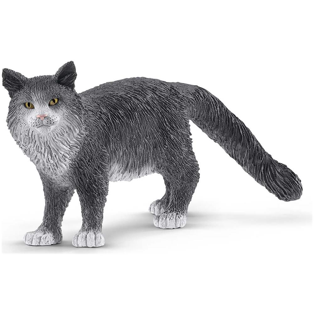 2513893 2513893 Gatto Maine-Coon (5), 13893 - Foto 1