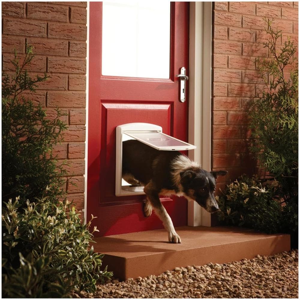 Porta per Animali a 2 Direzioni 740 Media 26,7x22,8 cm Bianca - Foto 2