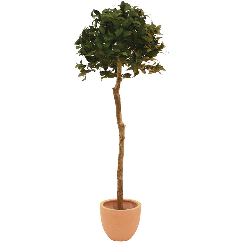 Laure Palla Dell'albero, 180cm - Foto 1