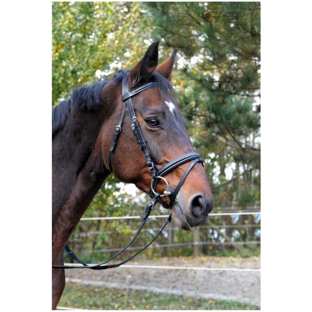 Briglie A Morso Classic In Pelle Nera Per Cob 326138 - Foto 2
