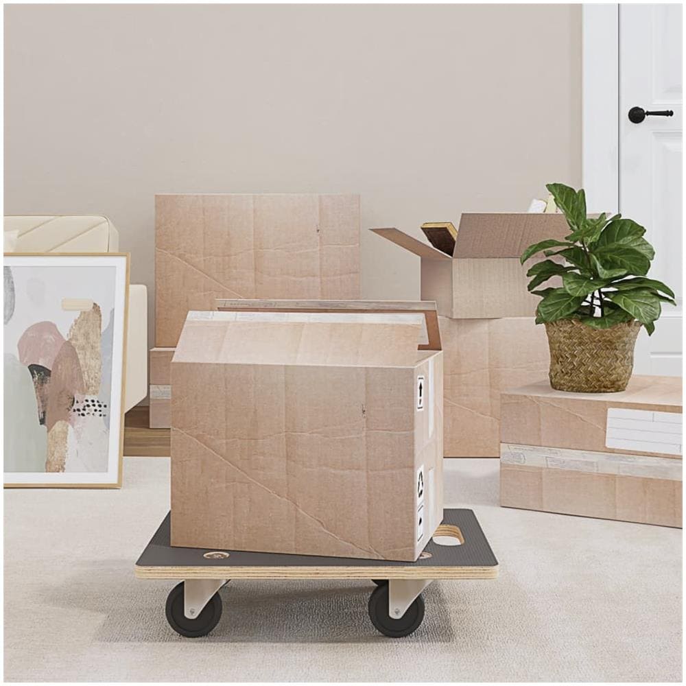 Pedane di Trasporto 2 pz Rettangolari 50x35x11,5 cm 250 kg - Foto 1