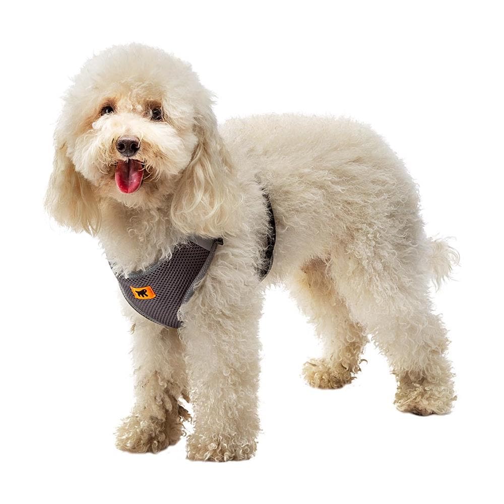 Pettorina Nikita S Nero 75468717 - Foto 3