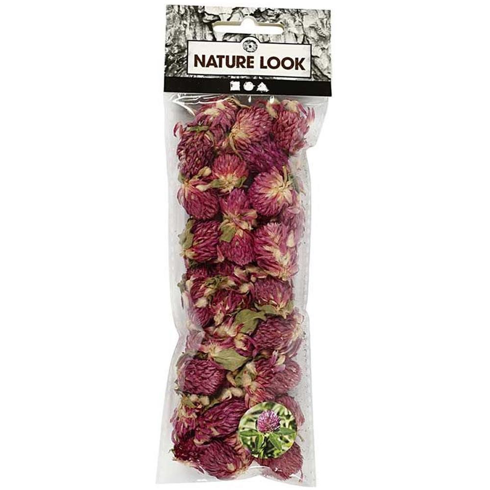 Fiori Secchi - Trifoglio Rosso 30 G - Foto 1