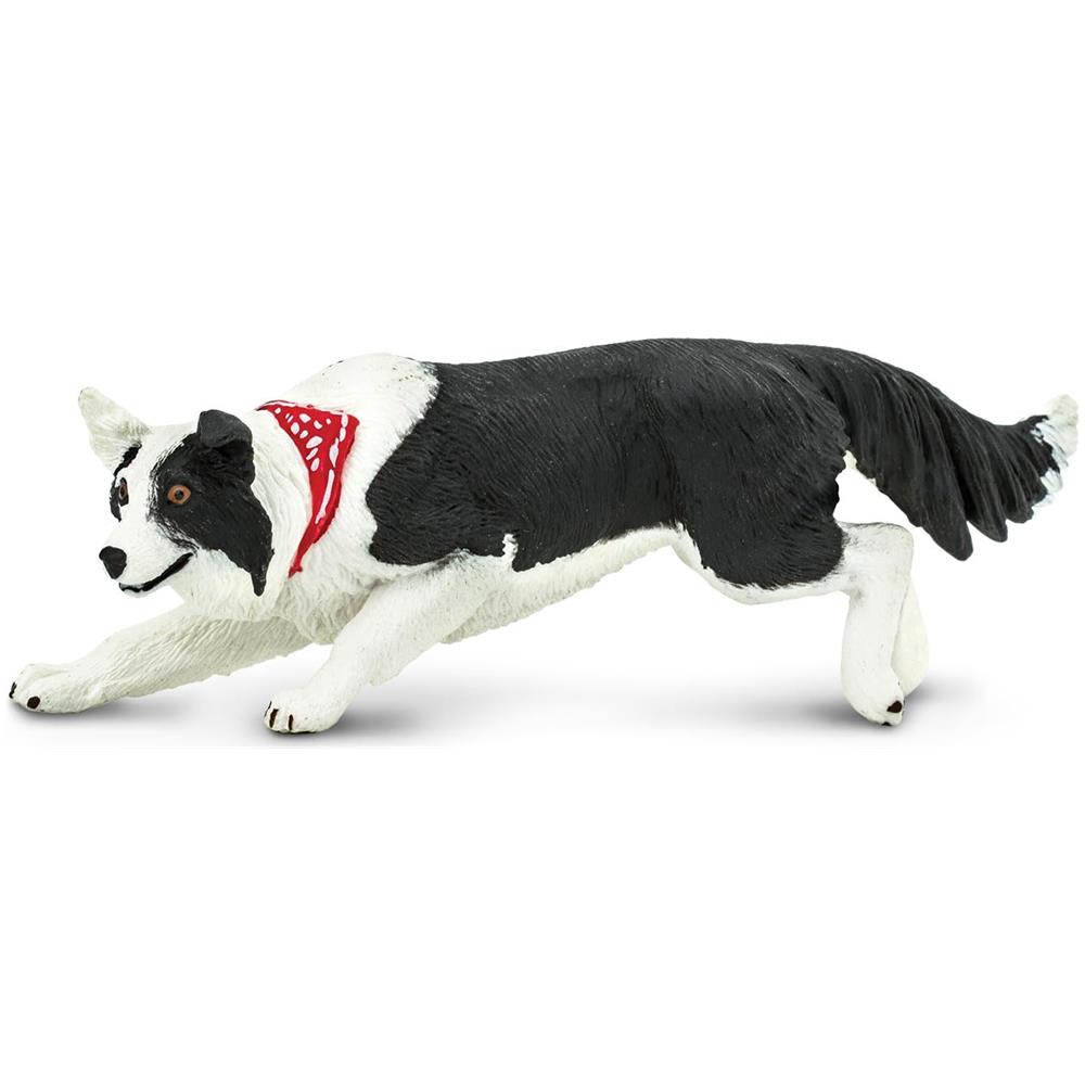 Safari Ltd Best In Show Border Collie - Foto 2