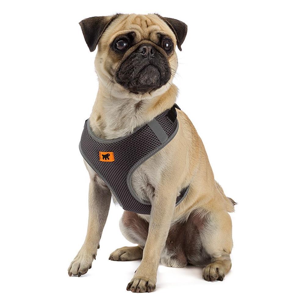 Pettorina Nikita XS Nero 75468617 - Foto 3