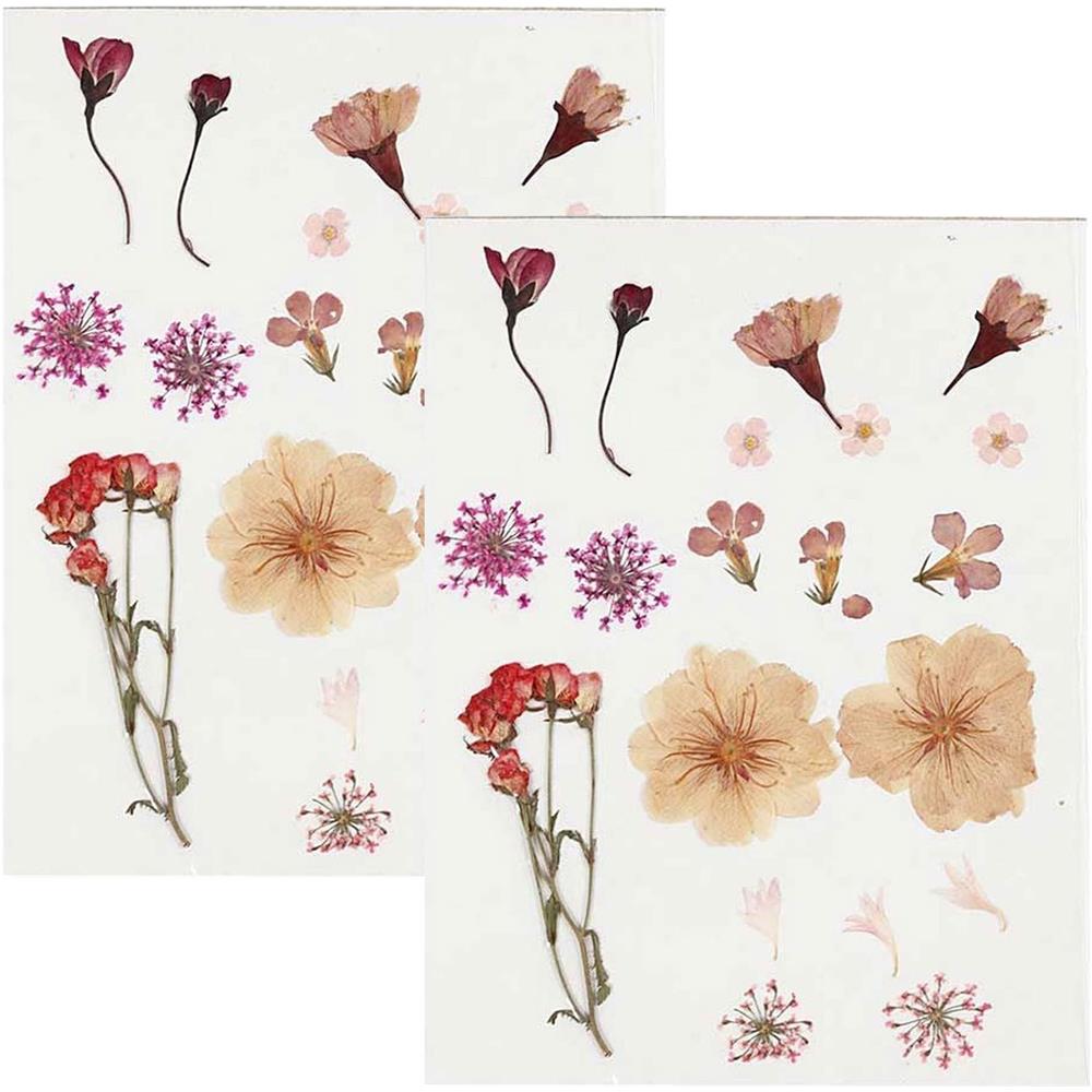 40 Fiori Essiccati E Pressati - Rosa Chiaro - Foto 1