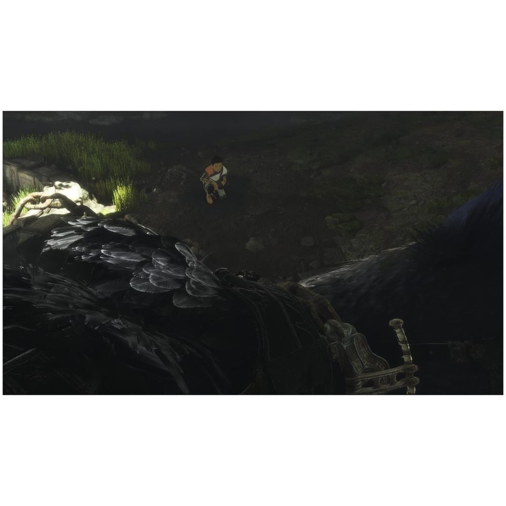 PS4 - The Last Guardian (Spagnolo)  - Foto 2