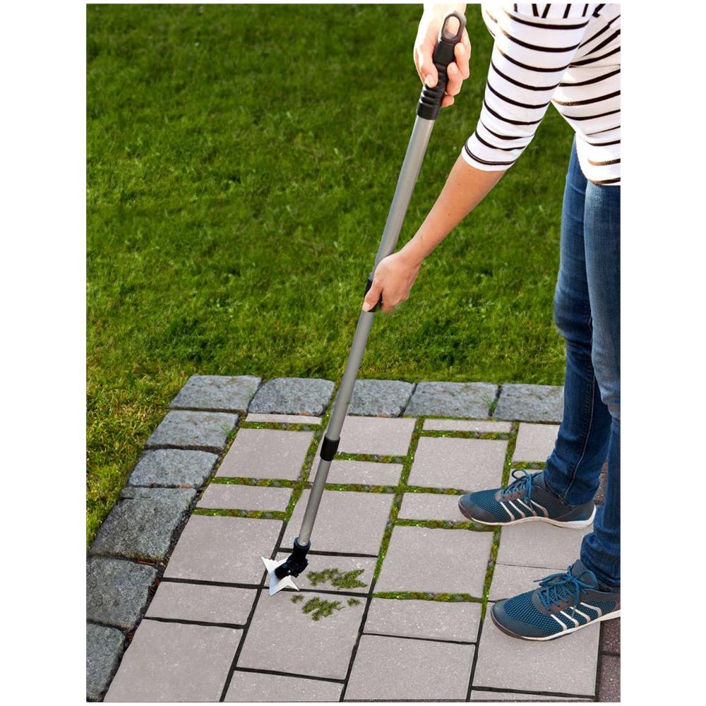 Raschietto Per Pelliccia Con 4 Chiodi Di Garofano E Manico Telescopico, W - Foto 1