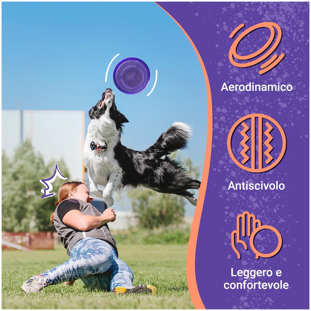 Frisbee Go Disco Volante, 22,86 cm Leggero per Bambini dai 5 Anni in su - 70 g - Foto 2