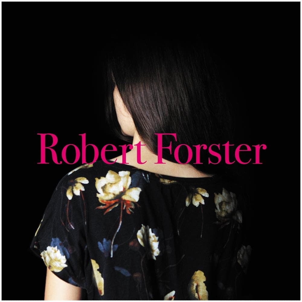 Robert Forster - Songs To Play - Foto 1