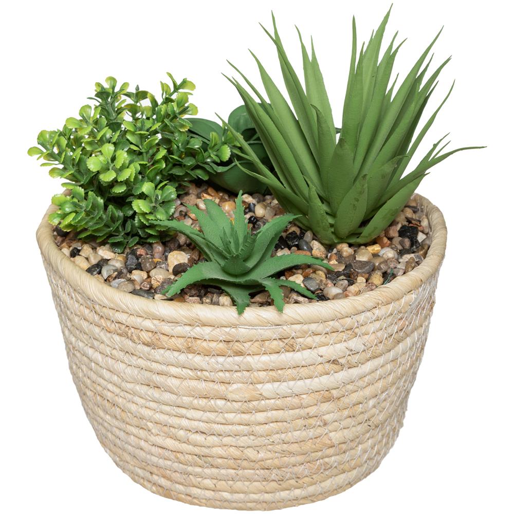 Vaso Con Piantine Artificiali 17x19 Cm Beige - Foto 1