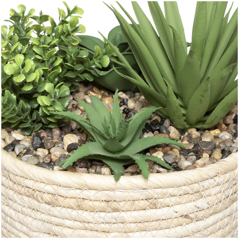 Vaso Con Piantine Artificiali 17x19 Cm Beige - Foto 2