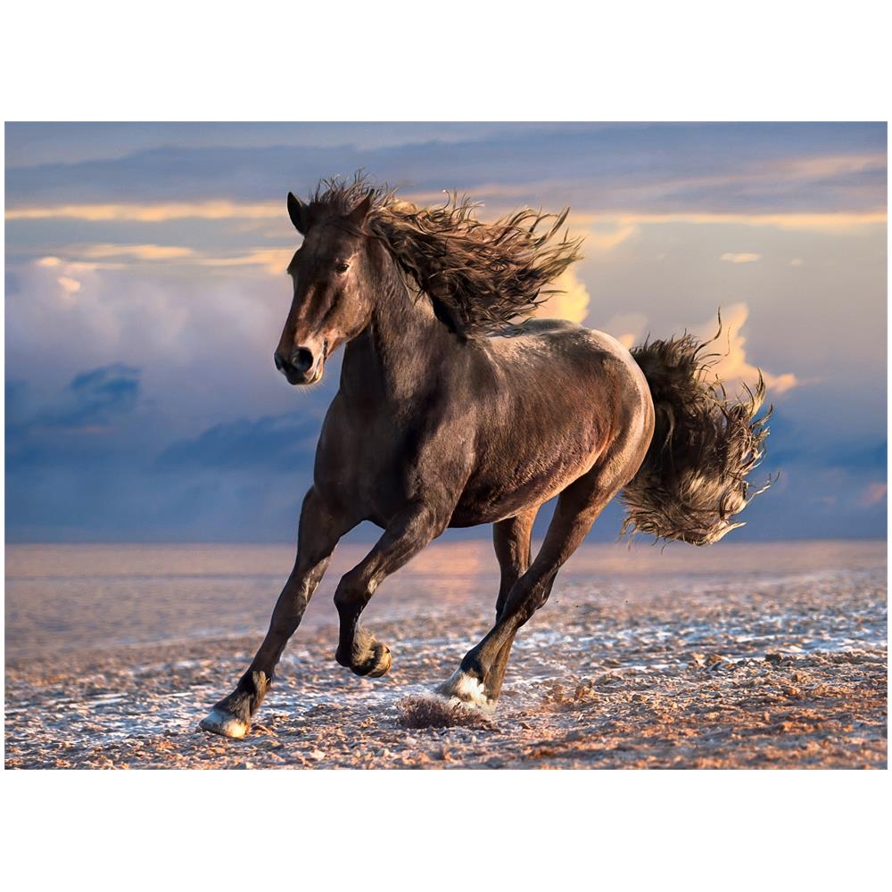 CLM39420 Puzzle 1000 Pezzi - Free Horse - Foto 2