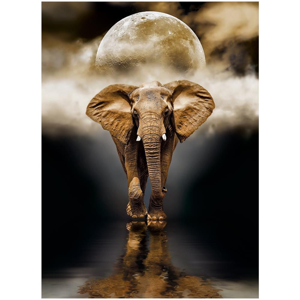 CLM39416 Puzzle da 1000 Pezzi - L'Elefante - Foto 2