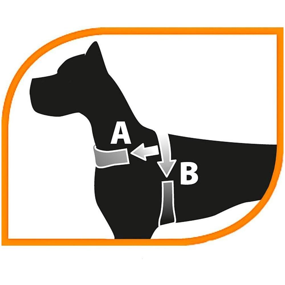 Daytona - Pettorina Per Cani Marrone Medium - Foto 6