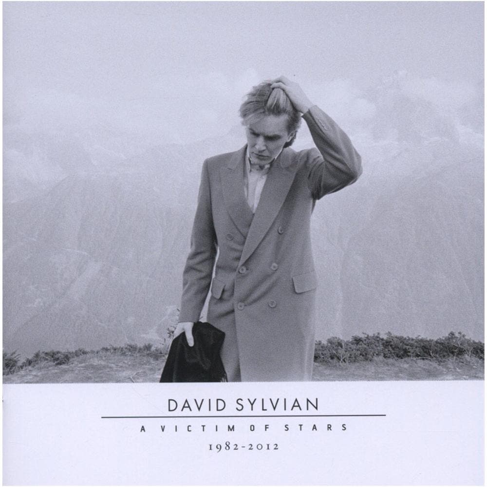 David Sylvian - A Victim Of Stars (2 Cd)  - Foto 1