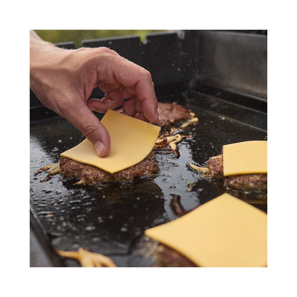 Spirit E-425 Barbecue GPL Nero, Acciaio inox 10260 W - Foto 8