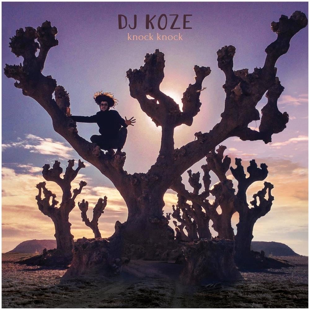 Dj Koze - Knock Knock (2 Lp) - Foto 1