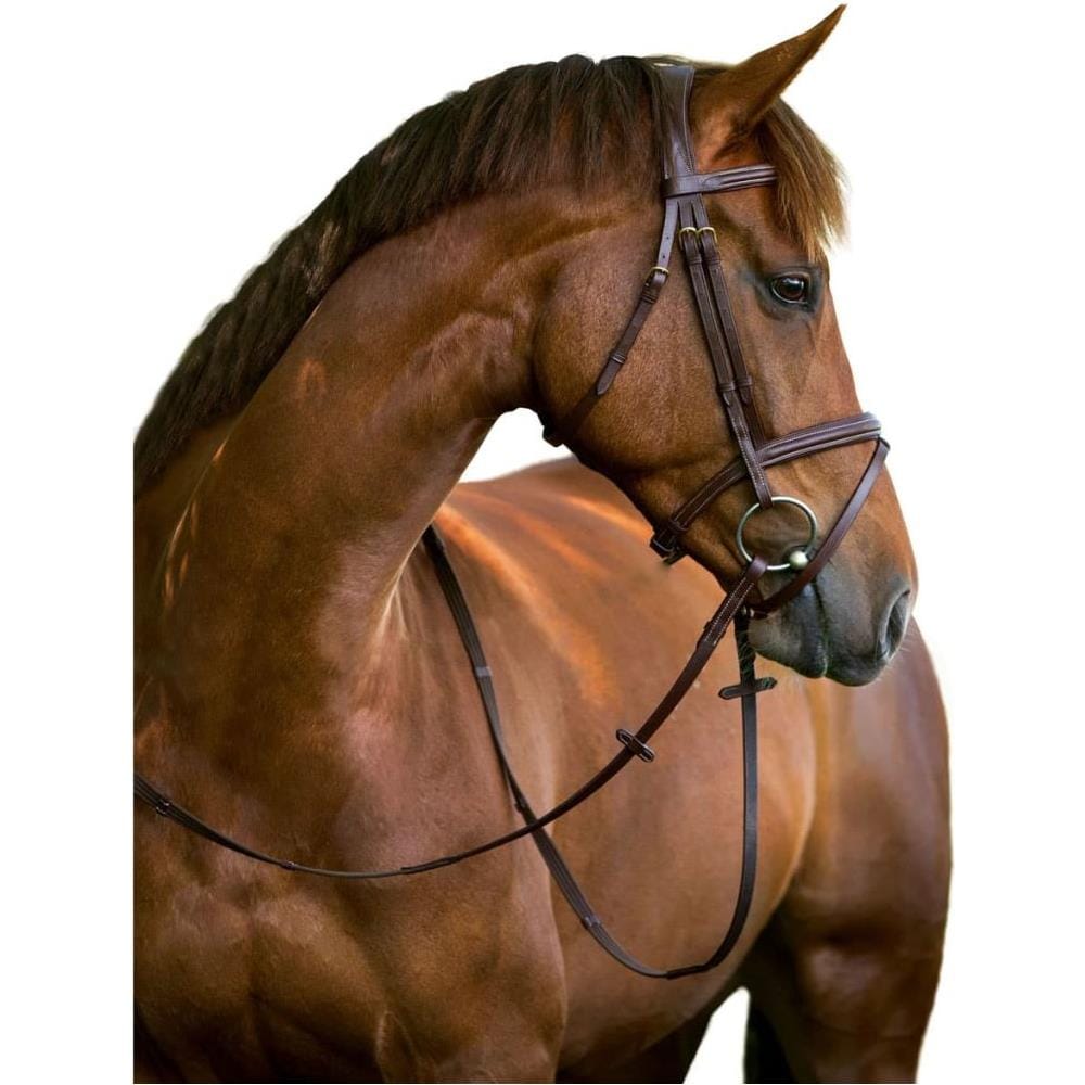 Briglie A Morso Classic In Pelle Marrone Per Pony 324911 - Foto 1