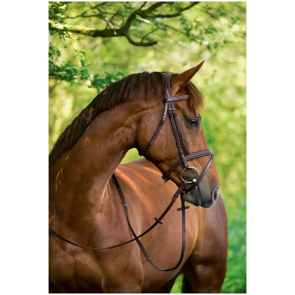 Briglie A Morso Classic In Pelle Marrone Per Pony 324911 - Foto 2