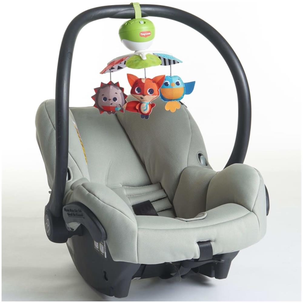 Mobile Che Viaggia Nel Prato - Foto 13