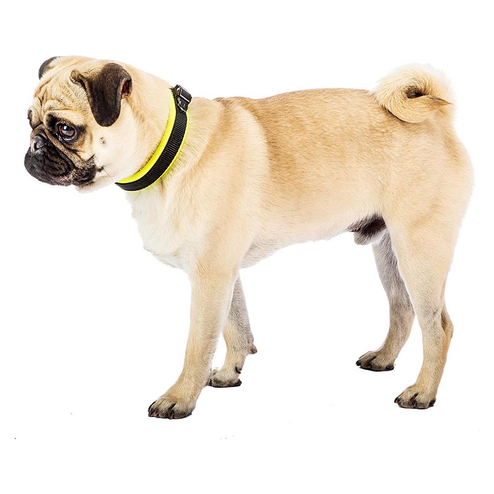 Ferplast 75448128 Collare Ergonomico Per Cani- - Foto 10