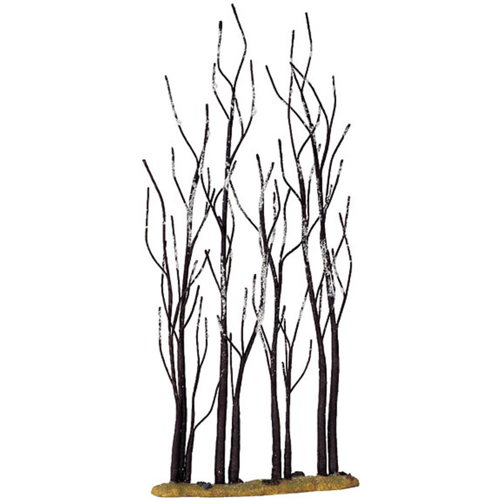 Alberelli Di Sicomoro - Stand Of Sycamore - Foto 2