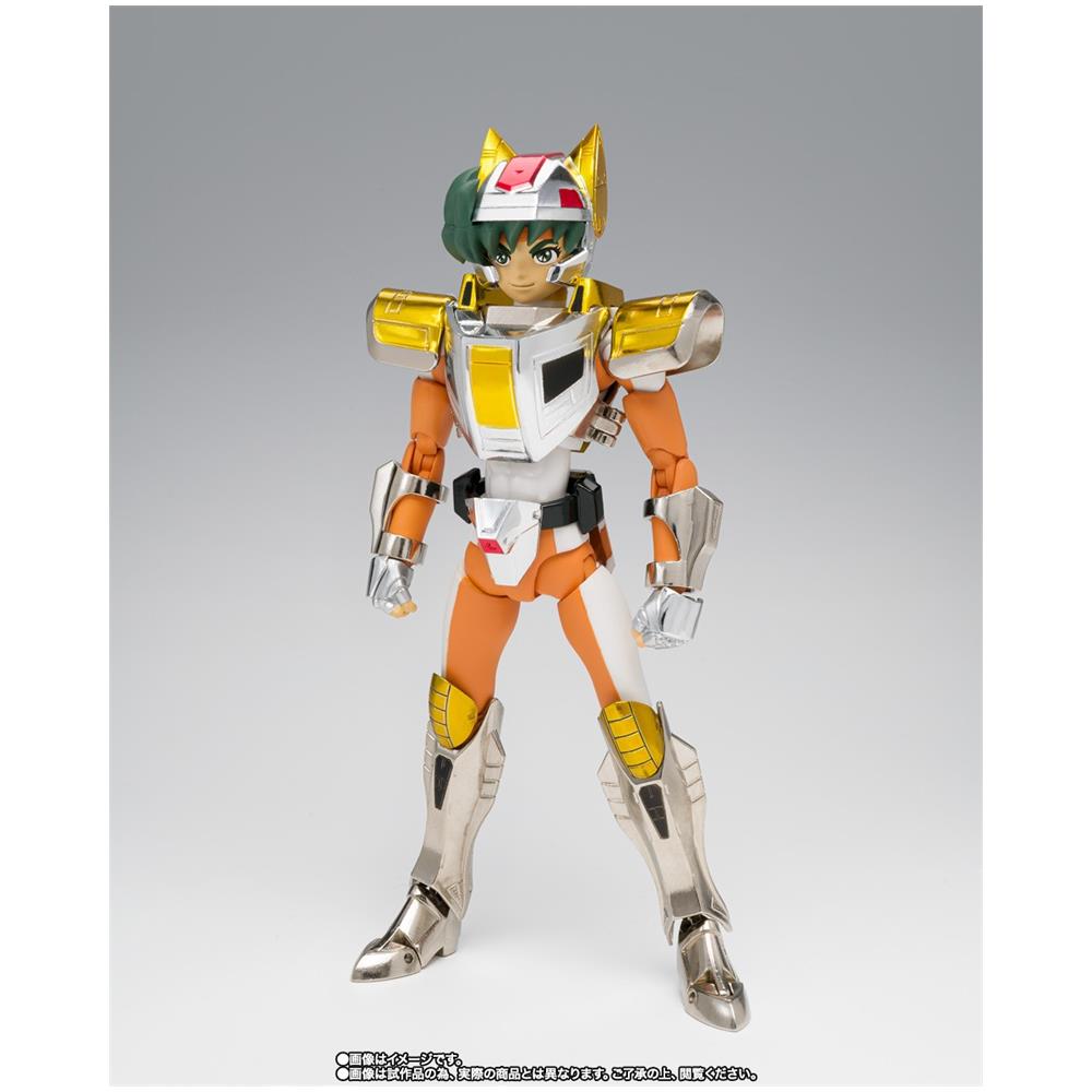 Saint Seiya Myth Cloth Steel Saint Land Cloth Daichi Revival Version - Foto 1