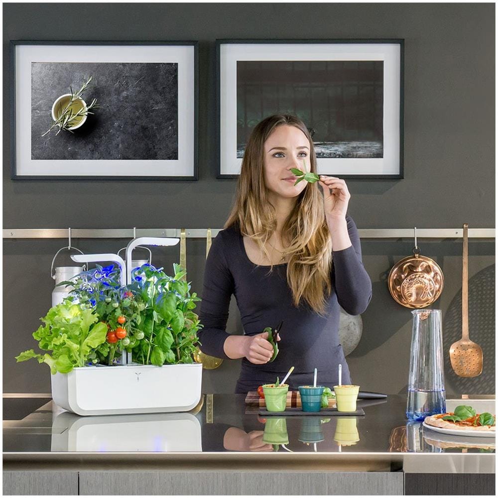 Smart Garden Grigio Scuro - Coltivazione Indoor Con Regolazione Automatica Del Led In Base Alla Luce Ambientale - Kit Di 4 Semi Inclusi - Foto 2