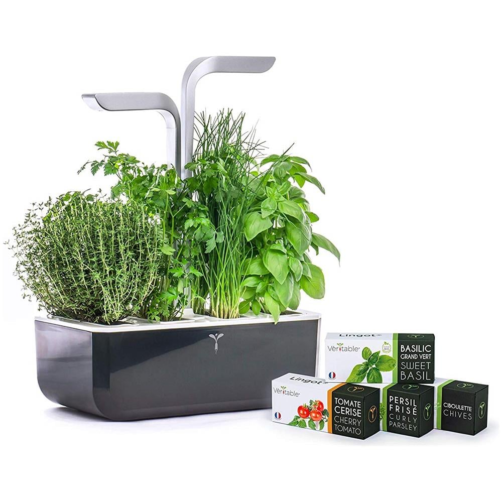 Smart Garden Grigio Scuro - Coltivazione Indoor Con Regolazione Automatica Del Led In Base Alla Luce Ambientale - Kit Di 4 Semi Inclusi - Foto 1