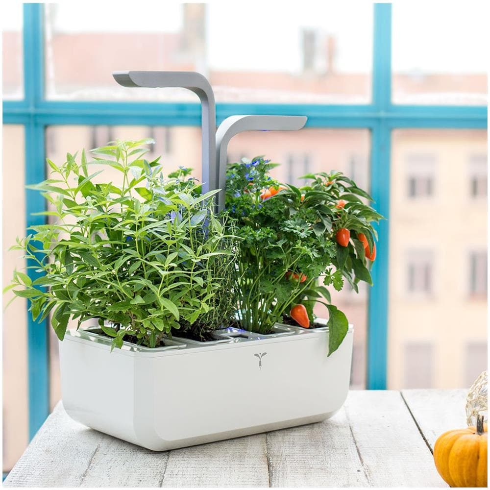 Smart Garden Grigio Scuro - Coltivazione Indoor Con Regolazione Automatica Del Led In Base Alla Luce Ambientale - Kit Di 4 Semi Inclusi - Foto 3