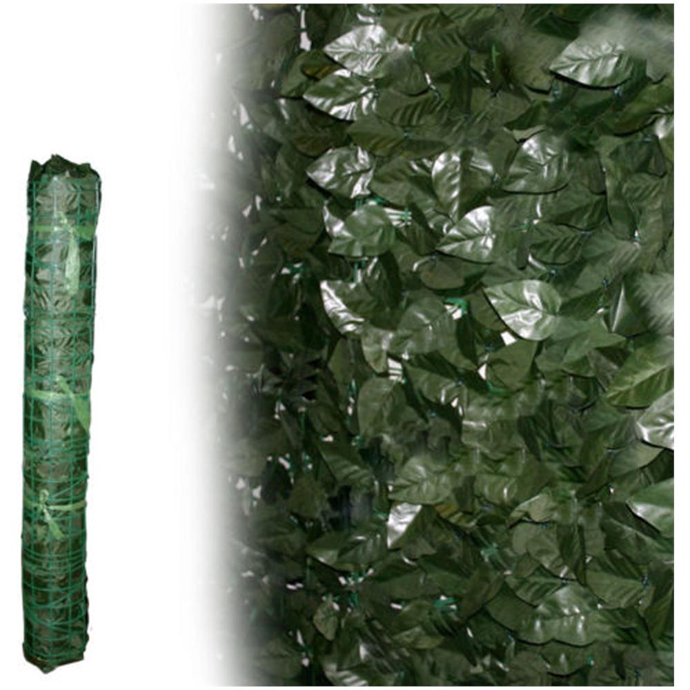 Siepe Sempreverde Lauro - Foto 2