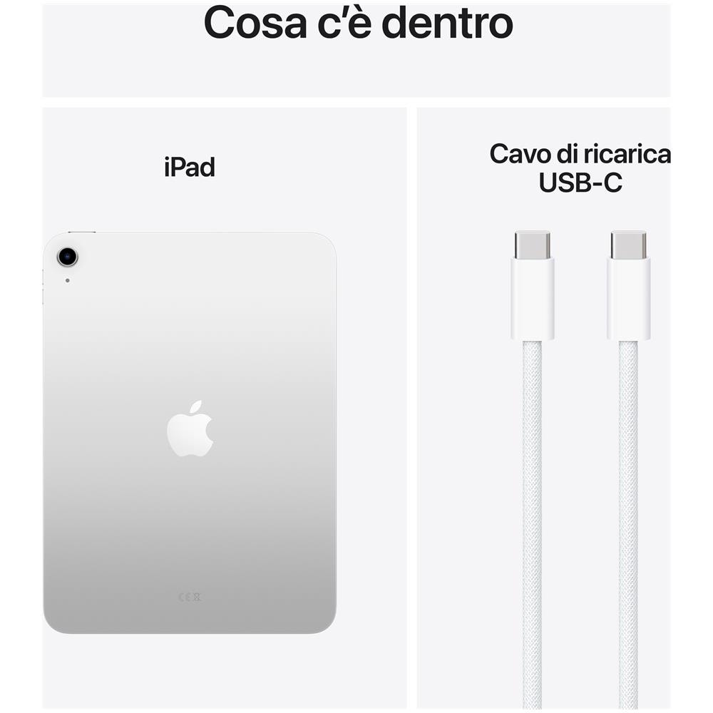 iPad 11" A16 (2025) 256GB Wi-Fi Argento - Foto 2