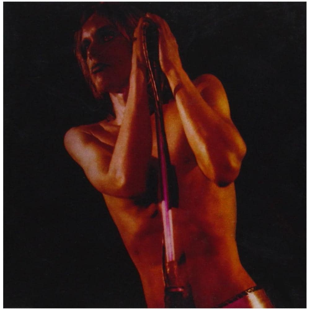 Iggy & The Stooges - Raw Power (2 Lp)  - Foto 1