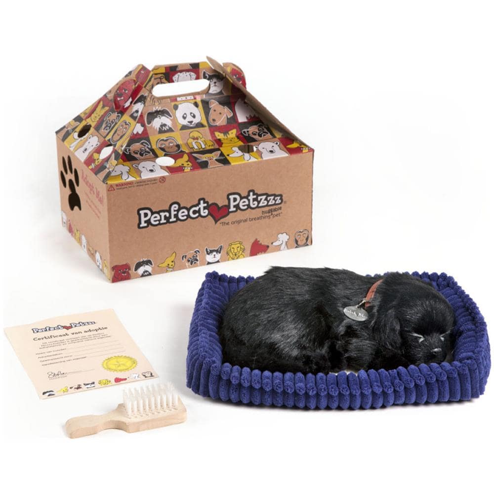 Labrador Nero 96323 - Foto 1