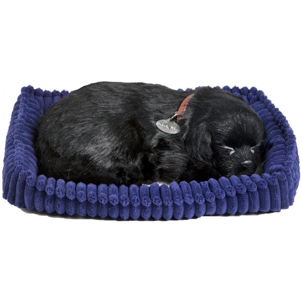 Labrador Nero 96323 - Foto 2