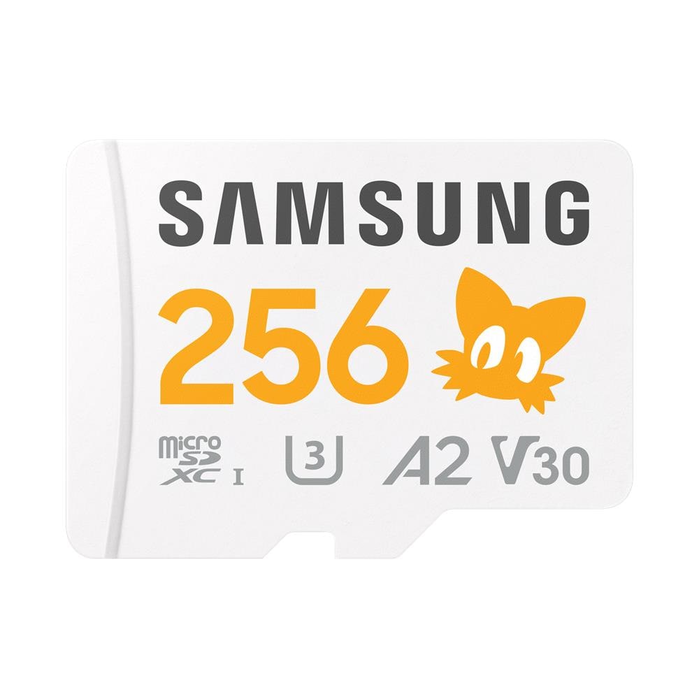 MB-MD256S 256 GB MicroSDXC UHS-I Classe 10 - Foto 1