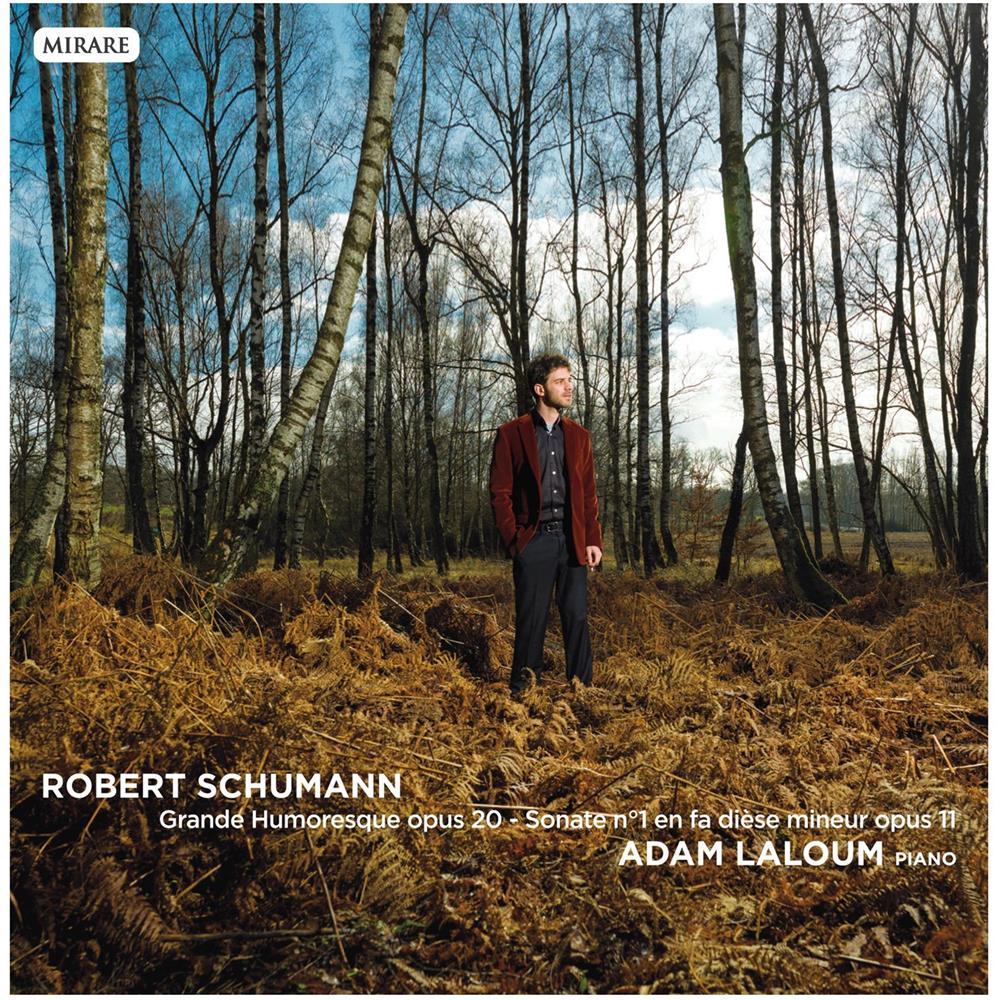 Schumann Robert - Grande Humoresque - Foto 1