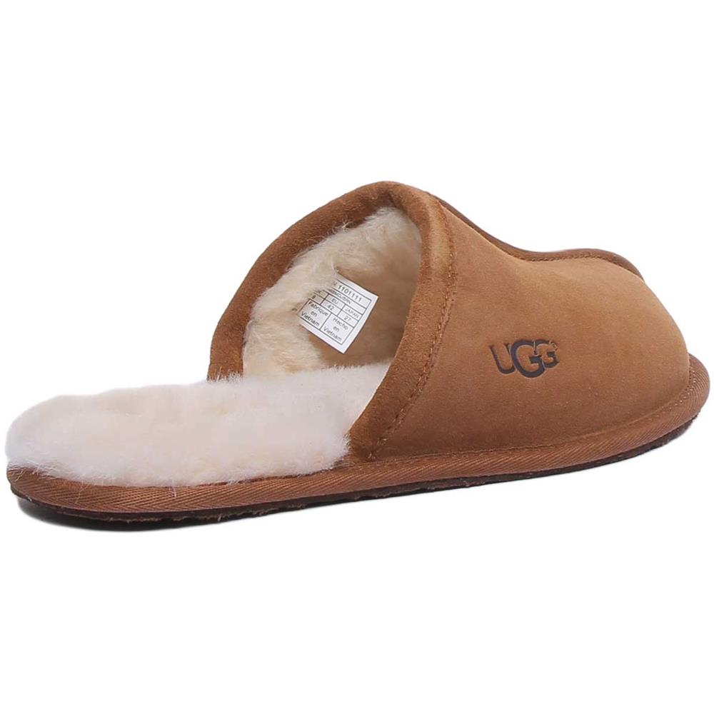 Australia M Scuff In Chestnut - Foto 3