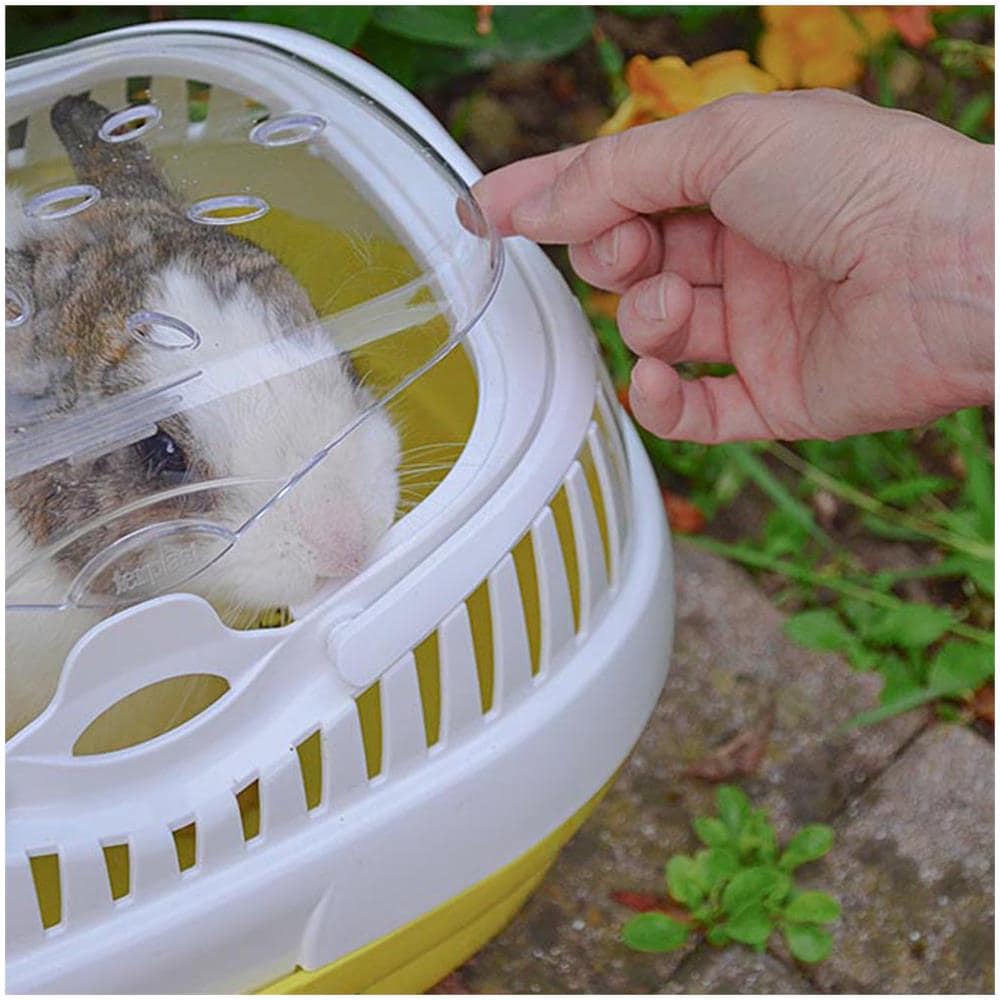 Trasportino Per Conigli, Porcellini D'india E Ratti Aladino Large, Plastica Con Coperchio Trasparente, Griglie Di Ventilazione E Manico - Foto 5