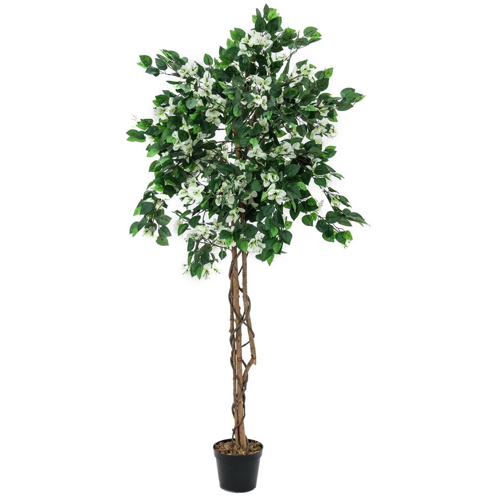 Pianta Artificiale Bouganville, Bianco, 180cm - Foto 1