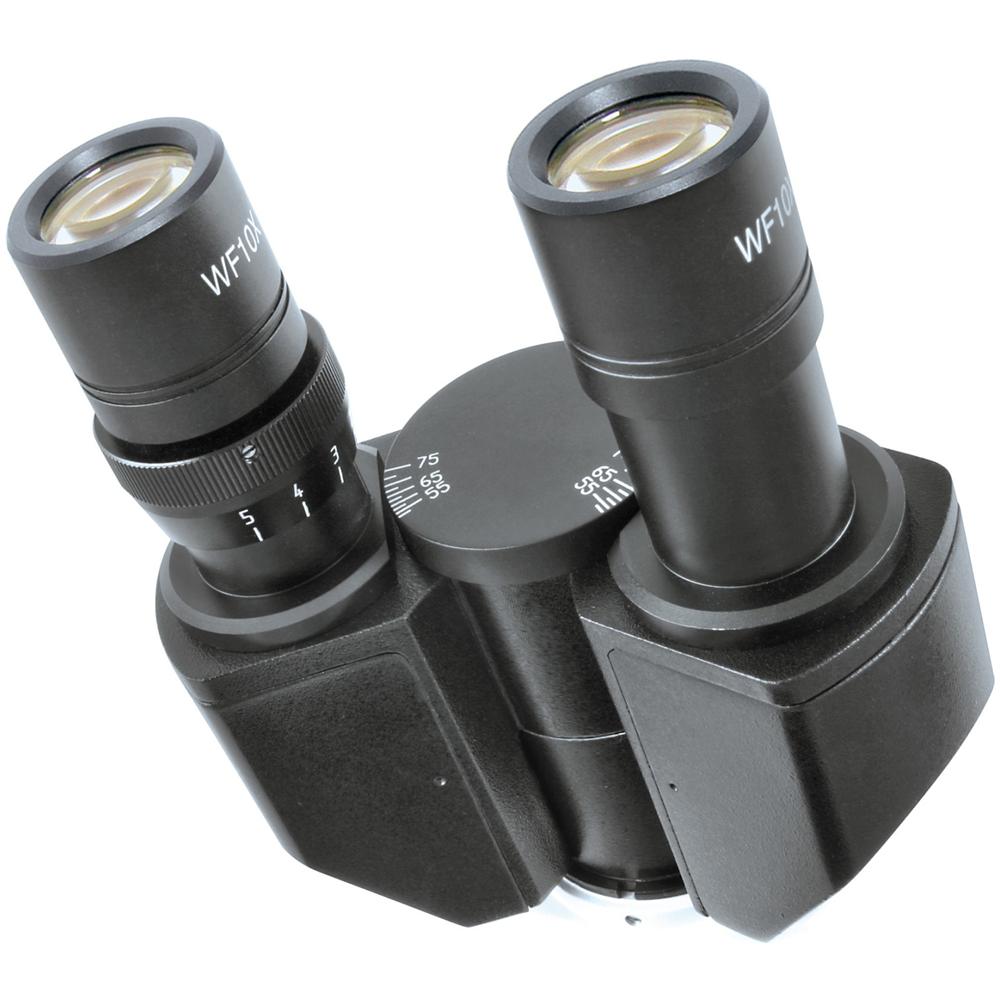 Researcher Bino, Nero, Bianco - Foto 5