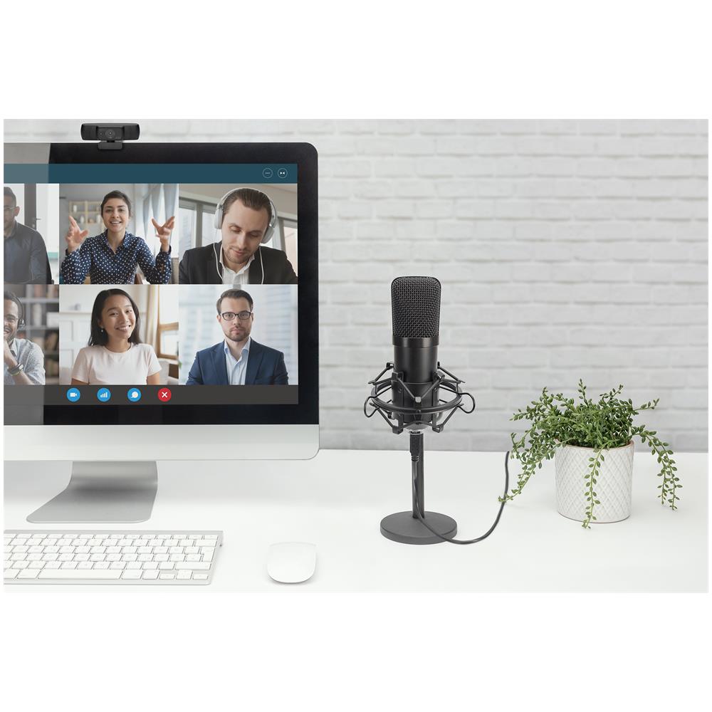 Microfono a condensatore USB, da studio - Foto 2