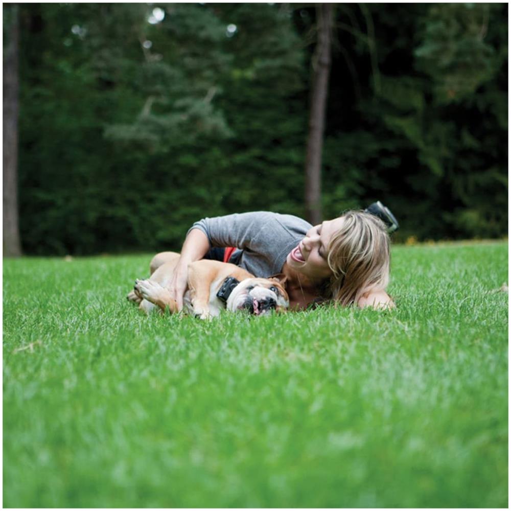 Collare Da Addestramento Per Cani Con Telecomando St-100-ld <25 Kg 100 M 6072 - Foto 2