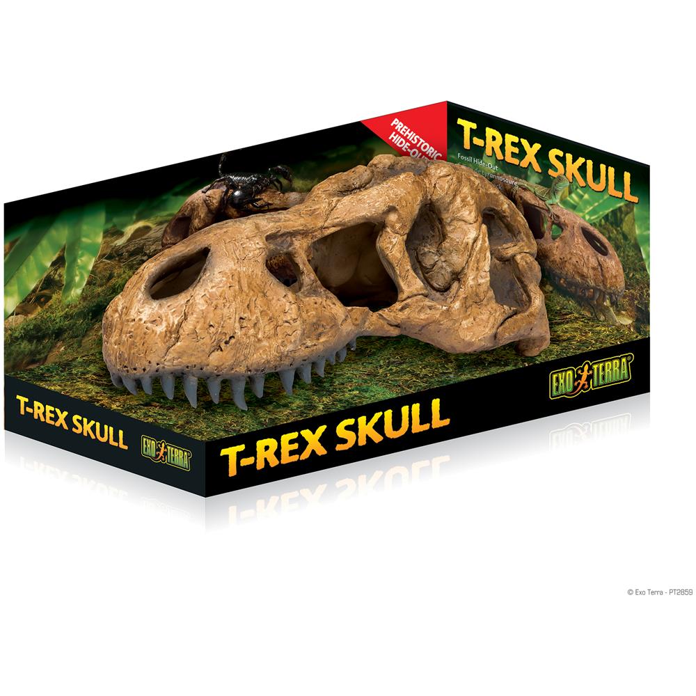Tana Rettili Exo Terra T-rex Skull - Foto 1